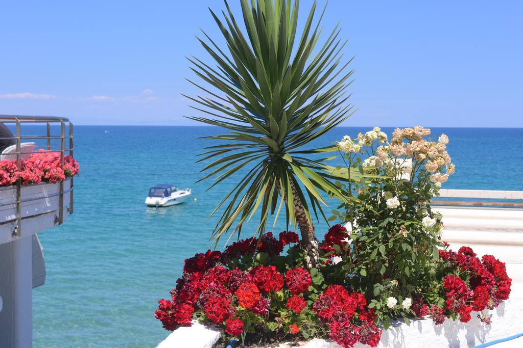 Olympos Beach Plaka Litochorou Bagian luar foto
