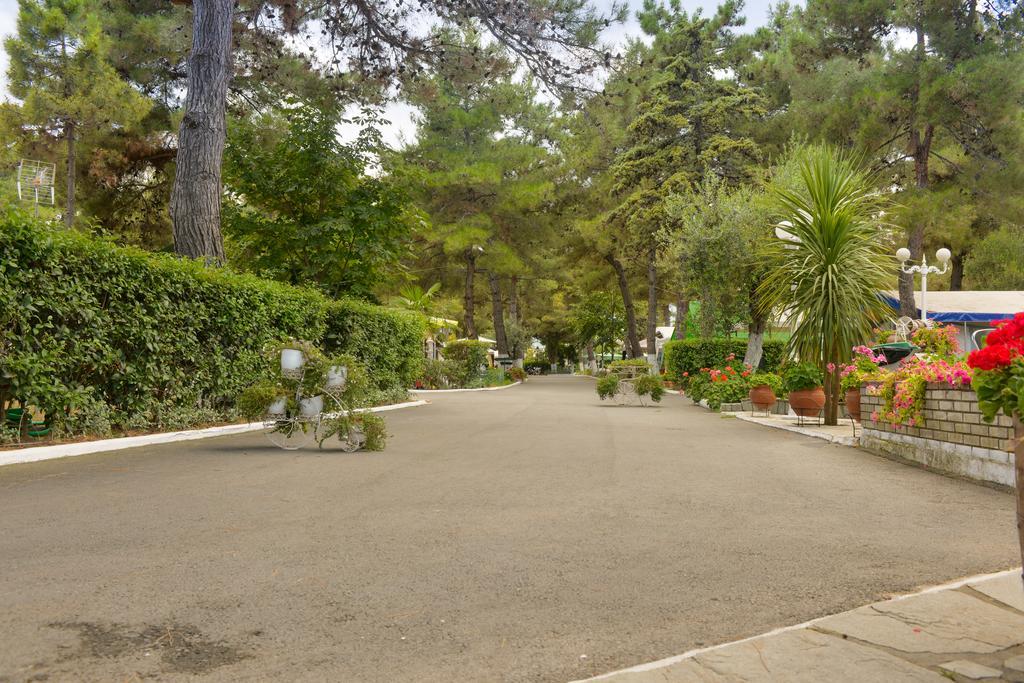 Olympos Beach Plaka Litochorou Bagian luar foto