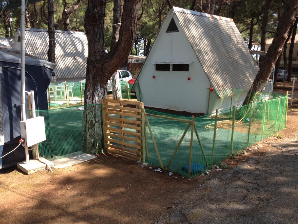 Olympos Beach Plaka Litochorou Bagian luar foto