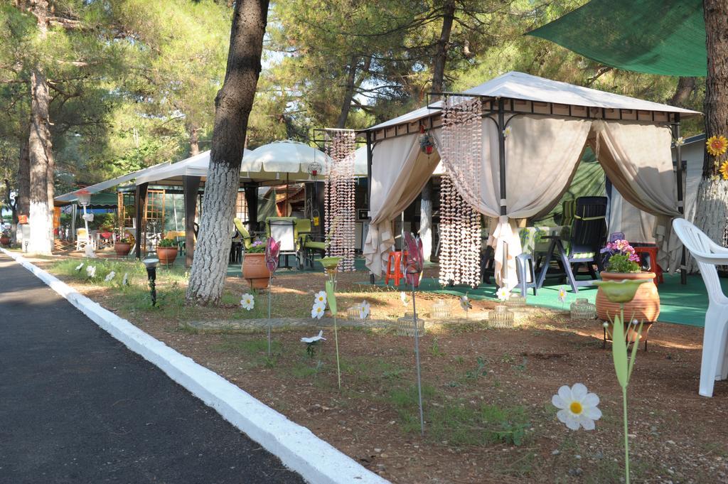 Olympos Beach Plaka Litochorou Bagian luar foto