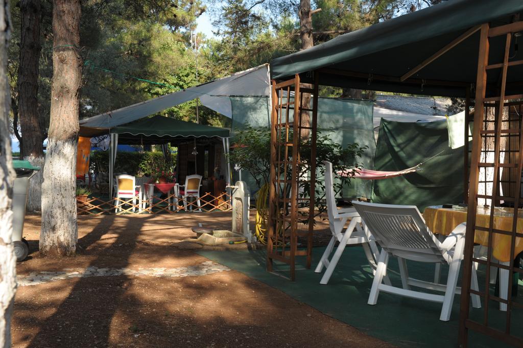 Olympos Beach Plaka Litochorou Bagian luar foto